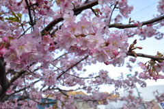 20100221_164156