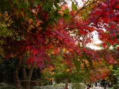 20091122_142718