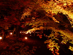 20091122_170646