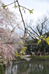 20100404_140236