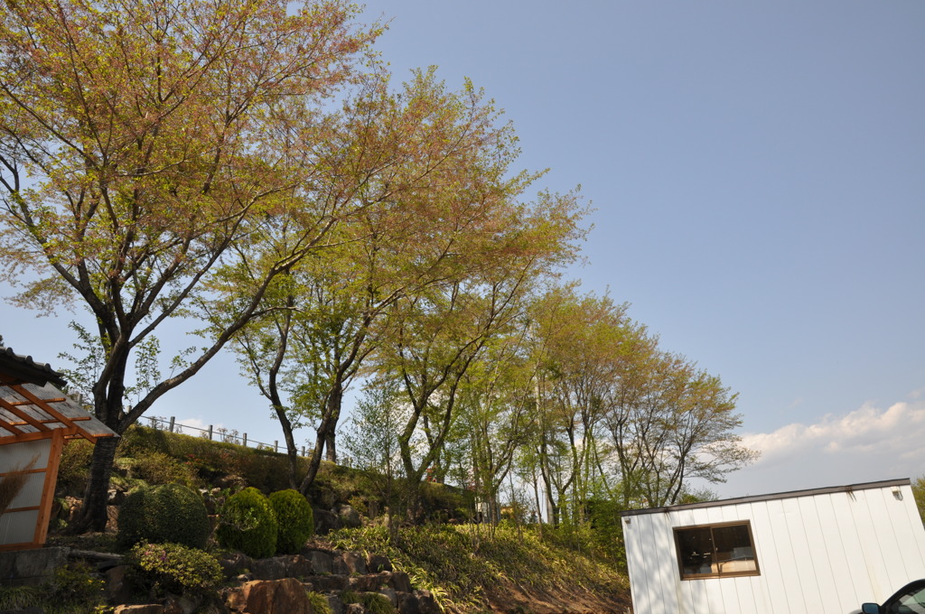 20100501_131124