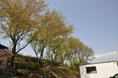 20100501_131124