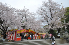 20100404_134720