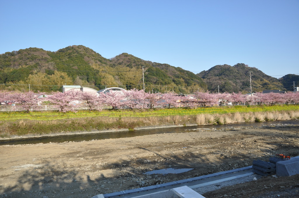 20100221_154836