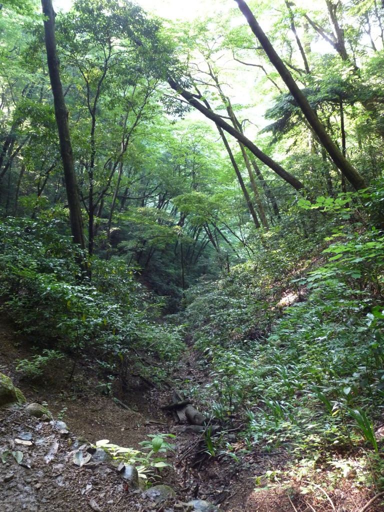 20090611_171446