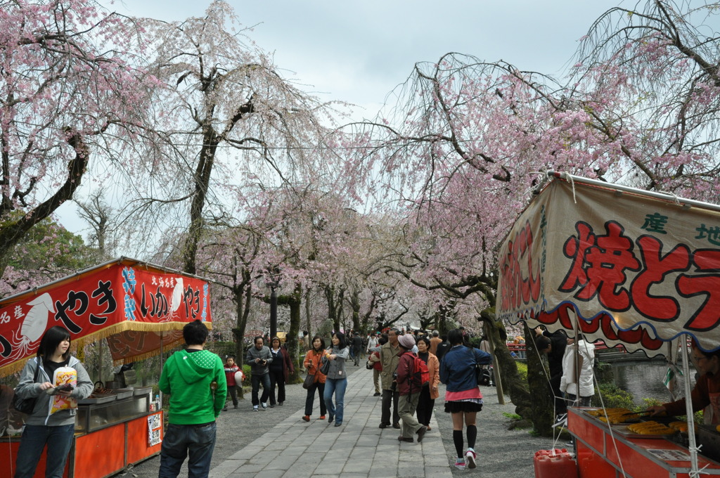 20100404_140704