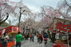 20100404_140704