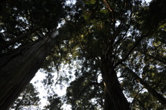 20100501_161120