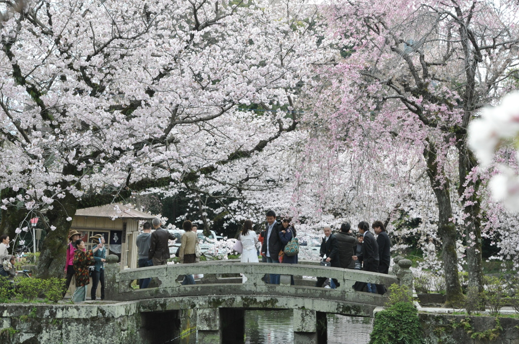 20100404_145130