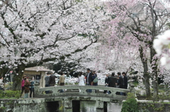 20100404_145130