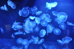 20100719_162958