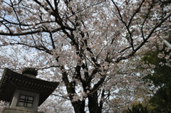 20100404_145704