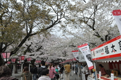 20100404_141036