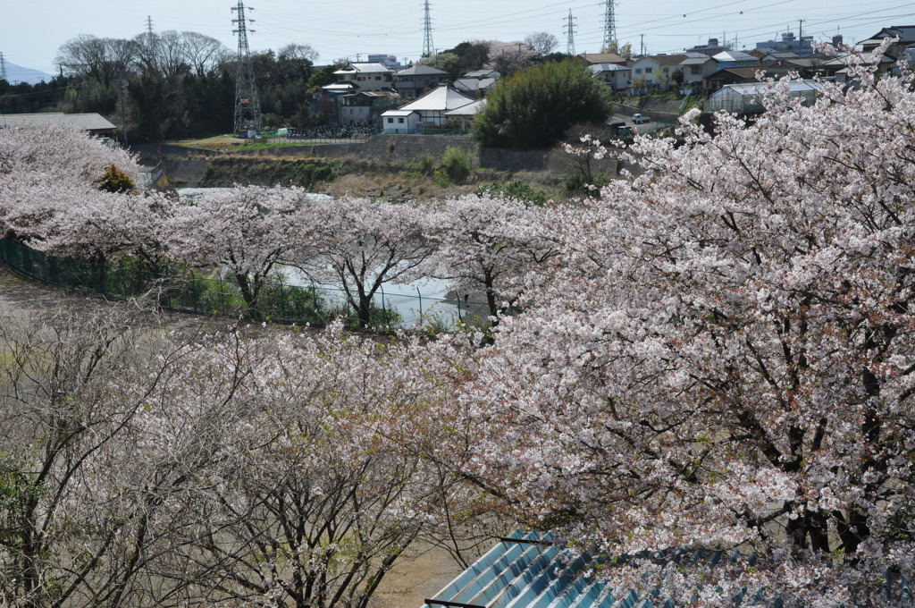 20100410_131636