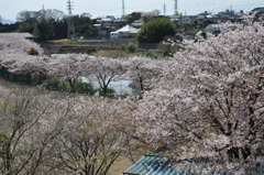 20100410_131636