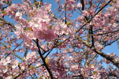 20100221_155720