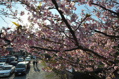 20100221_155320