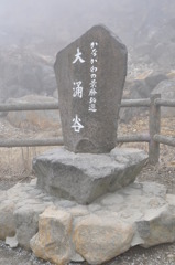20100328_104534