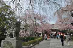 20100404_140130