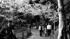 哲学の道にて（４）