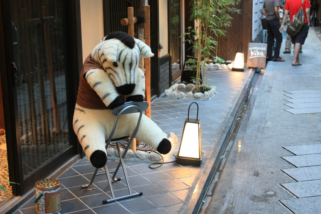 しまうま