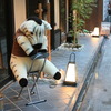 しまうま