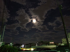 2008_0720i0151