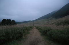 朝の仙石原