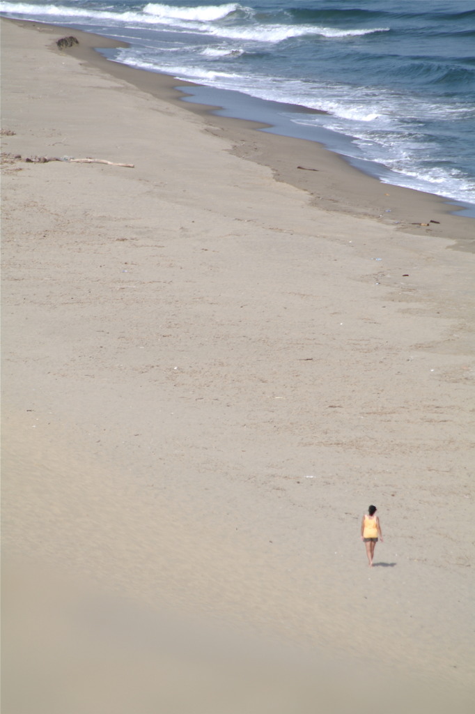 鳥取砂丘の浜辺で望遠
