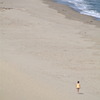 鳥取砂丘の浜辺で望遠