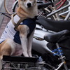 あん？