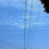 lines