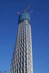たけーーーーー