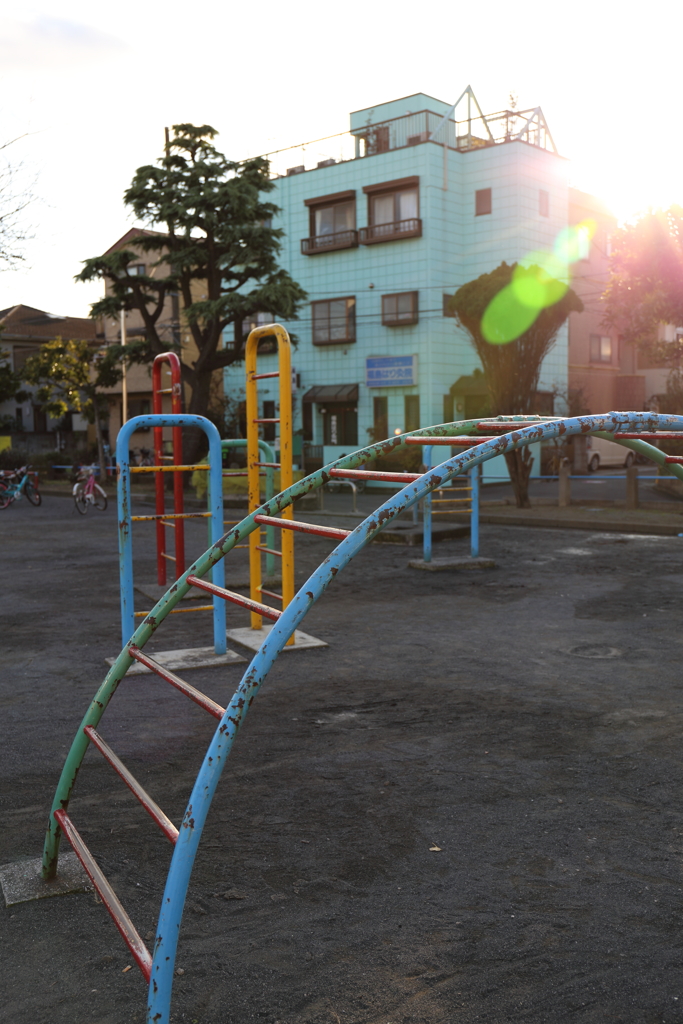 午後の公園