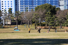 公園