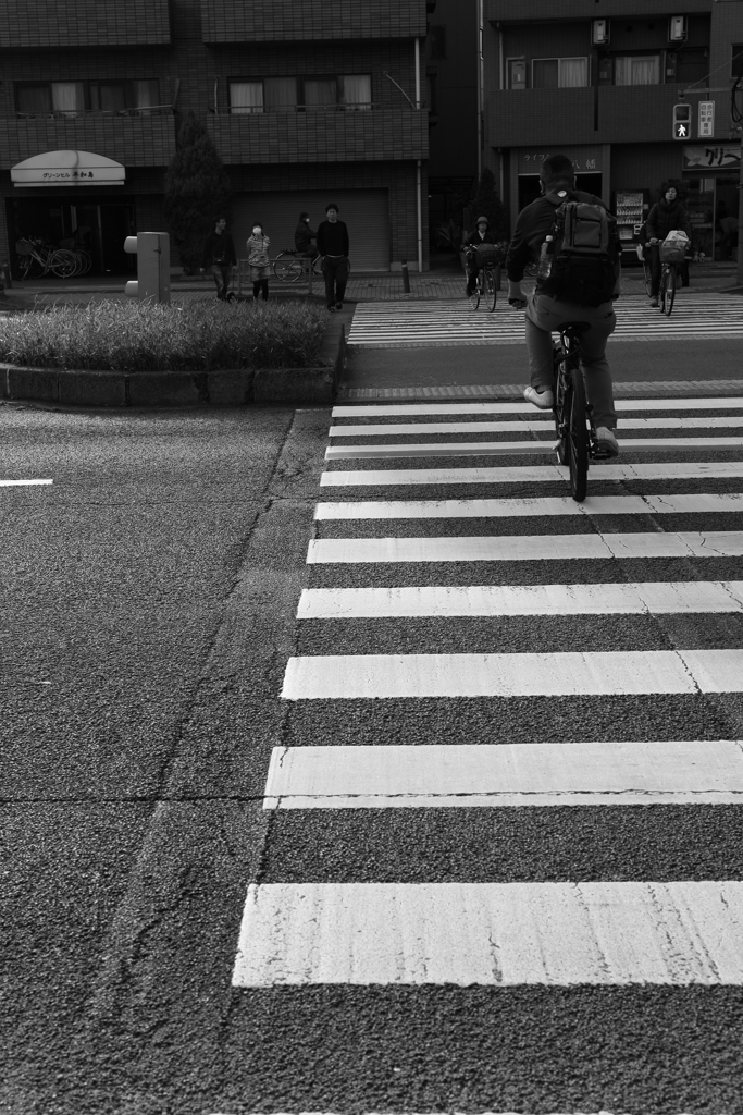 横断歩道