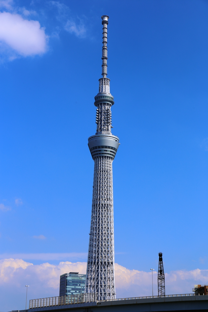 スカイツリー