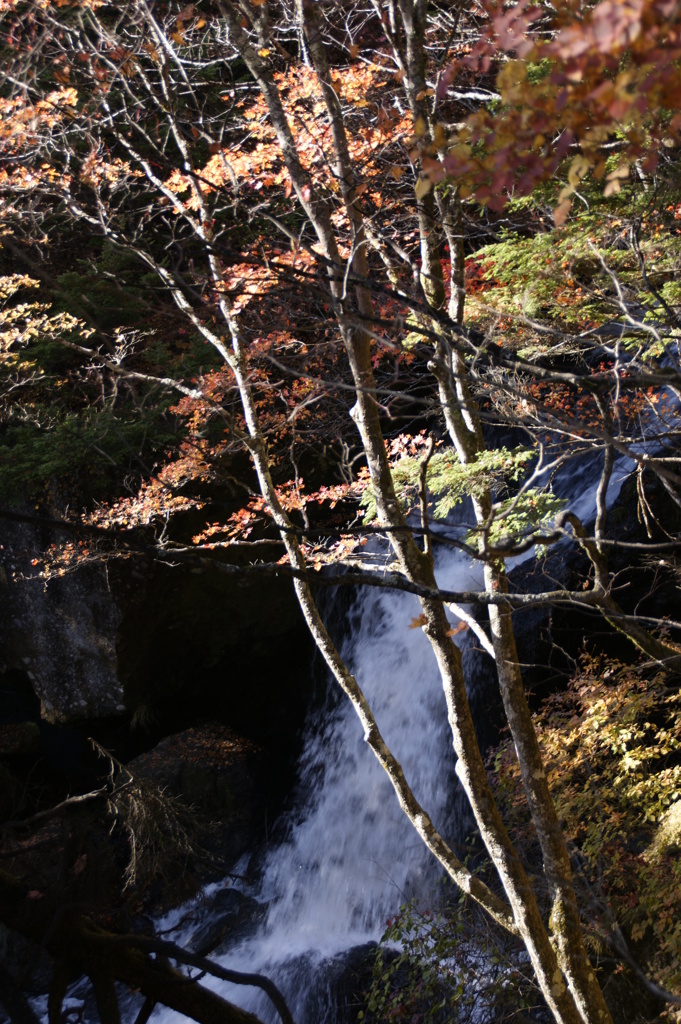 _DSC7701