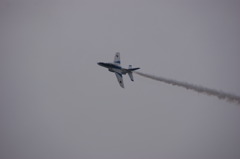 航空自衛隊　熊谷基地　さくら祭