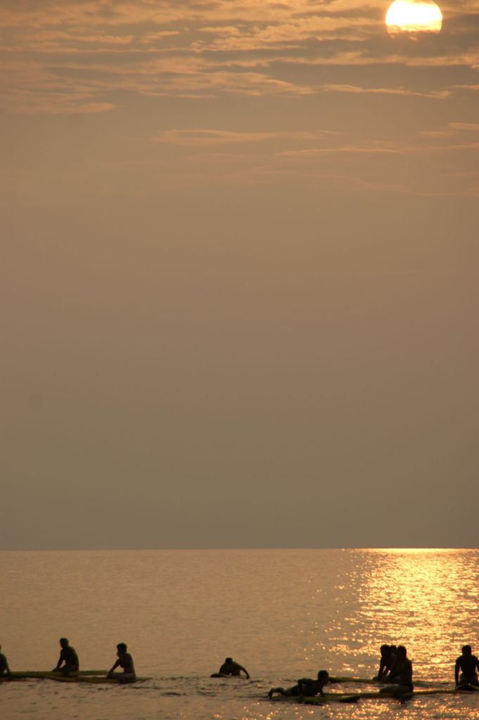 _DSC0534