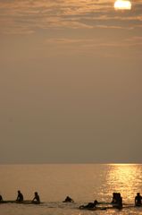 _DSC0534