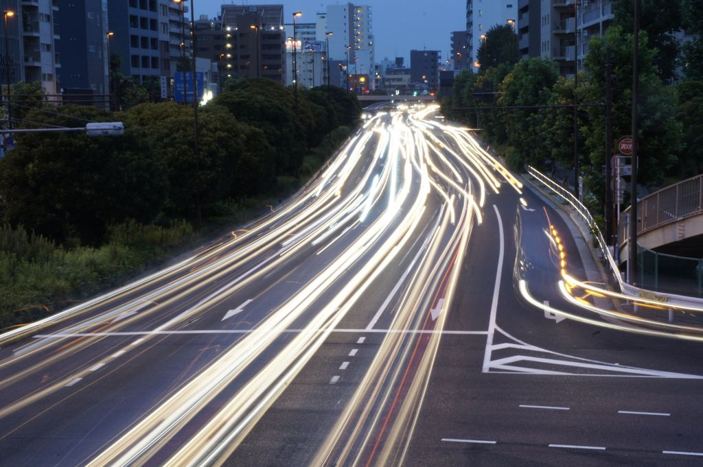 Road of the Light