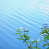 blue.
