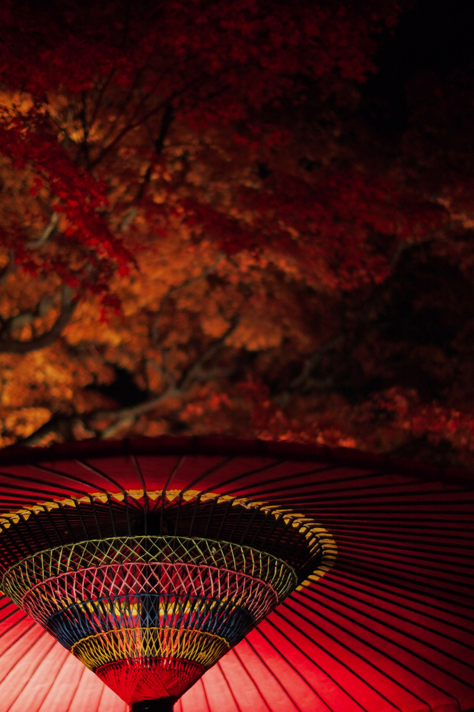 京都の紅葉2012　13