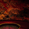 京都の紅葉2012　13