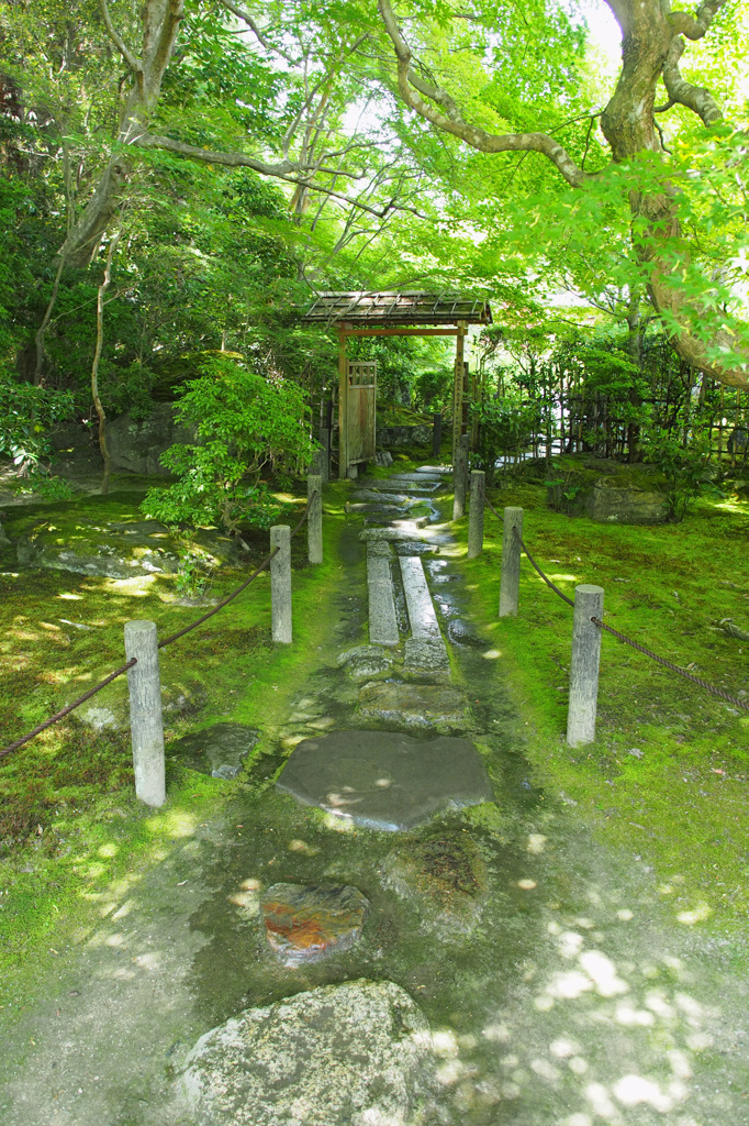 京都 新緑めぐり 2013　7