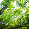 5月の風を感じて