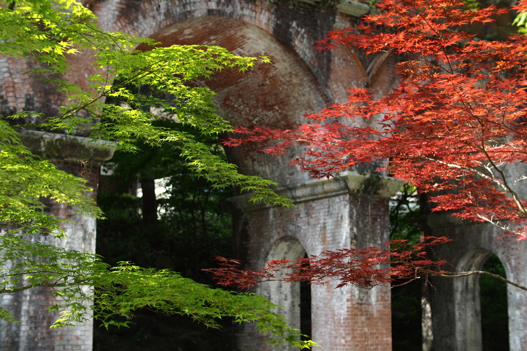 京都 新緑めぐり 2013　5