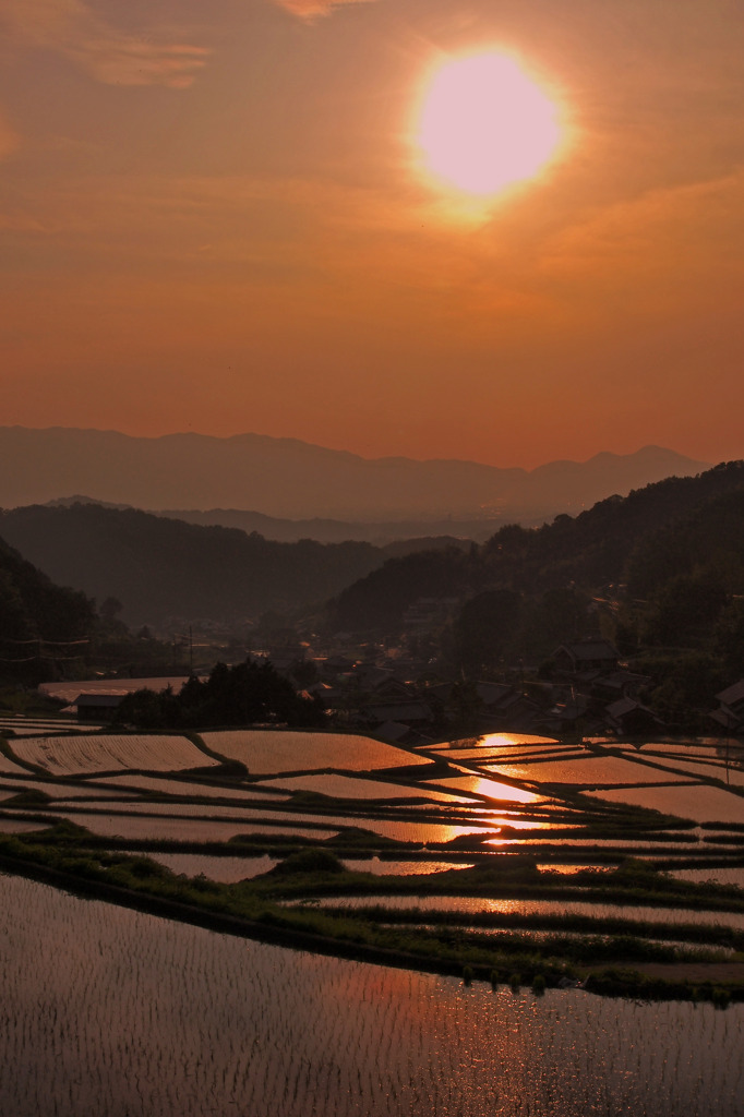 棚田の夕照