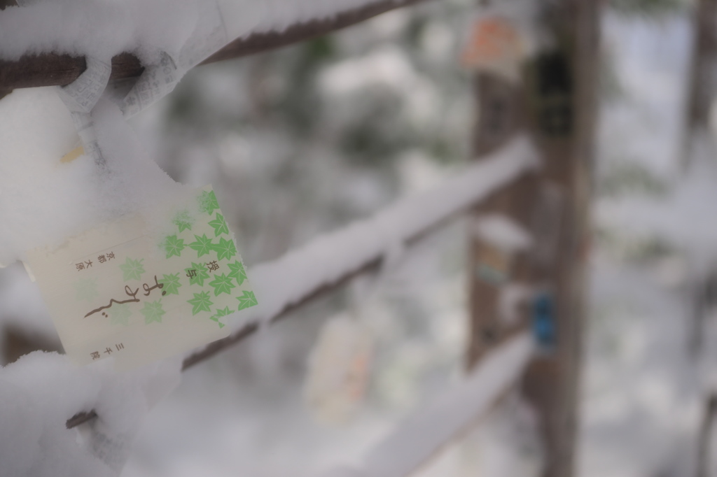 雪の京都-2